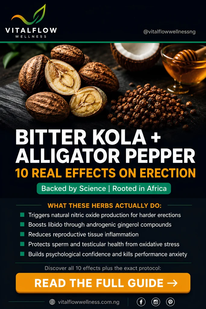 Bitter kola and alligator pepper 10 real effects on erection — VitalFlow Wellness infographic